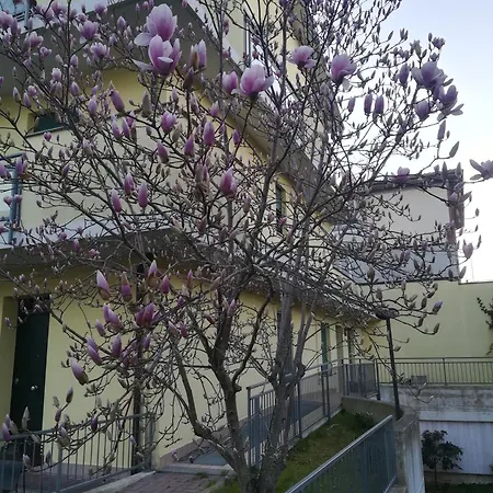 La Magnolia Di *