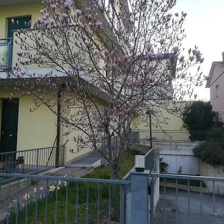 La Magnolia Di Tatil Evi Ravenna