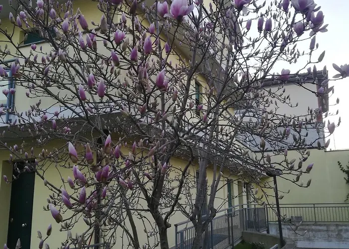La Magnolia Di *