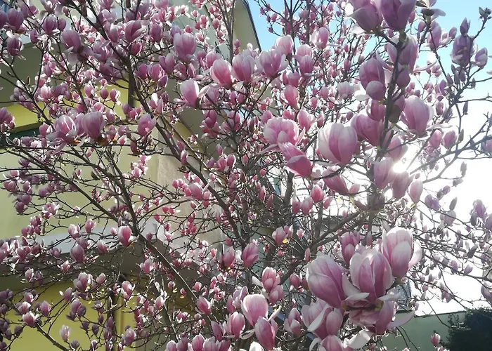 Hébergement de vacances La Magnolia Di Ravenne